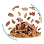 بافت پوچ سنسوری فیل