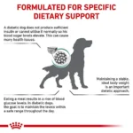 خواص دیابتیک سگ رویال