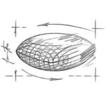 دانه بندی دیابتیک سگ