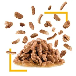 دانه بندی سنسوری تیست