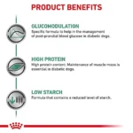 مزایا دیابتیک سگ رویال