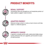 مزایا رنال اسپشیال رویال