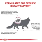 ویژگی رنال اسپشیال رویال