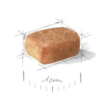 دانه شی هوا پاپی