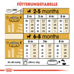 توله شی هوا رویال