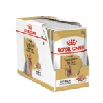 پوچ یورکشایر رویال کنین