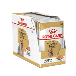 پوچ یورکشایر رویال کنین