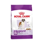 جاینت ادالت رویال کنین