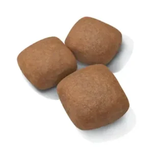 جاینت جونیور رویال کنین