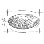 دانه بندی موبیلیتی ساپورت