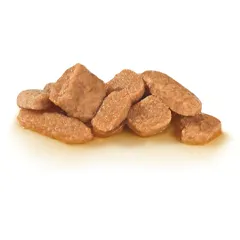 دانه بندی پوچ پدیاتریک گروت