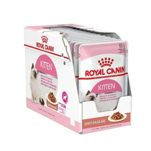 پوچ کیتن گروی رویال