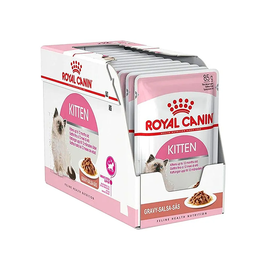 پوچ کیتن گروی رویال پوچ کیتن گروی رویال