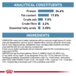 ترکیبات آن آلرژنیک گربه