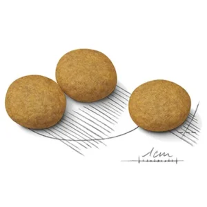 دانه بندی مدیوم درماکامفورت