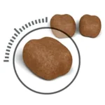 دانه بندی دنتال کر گربه