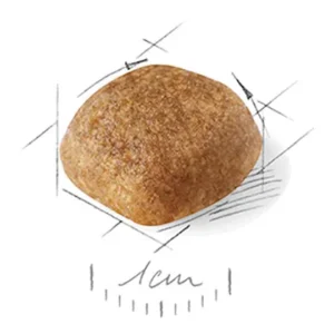 دانه بندی کاوالیر ادالت