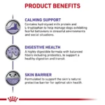 مزایا کالم گربه رویال