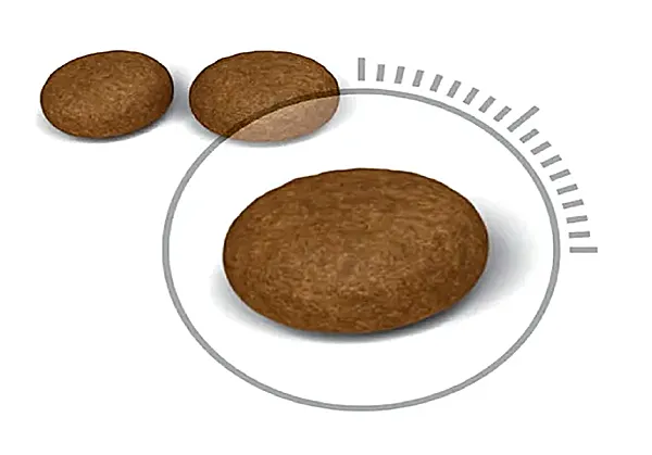 دانه بندی پروفشنال بیوتی