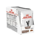 پوچ گاسترو مدریت رویال