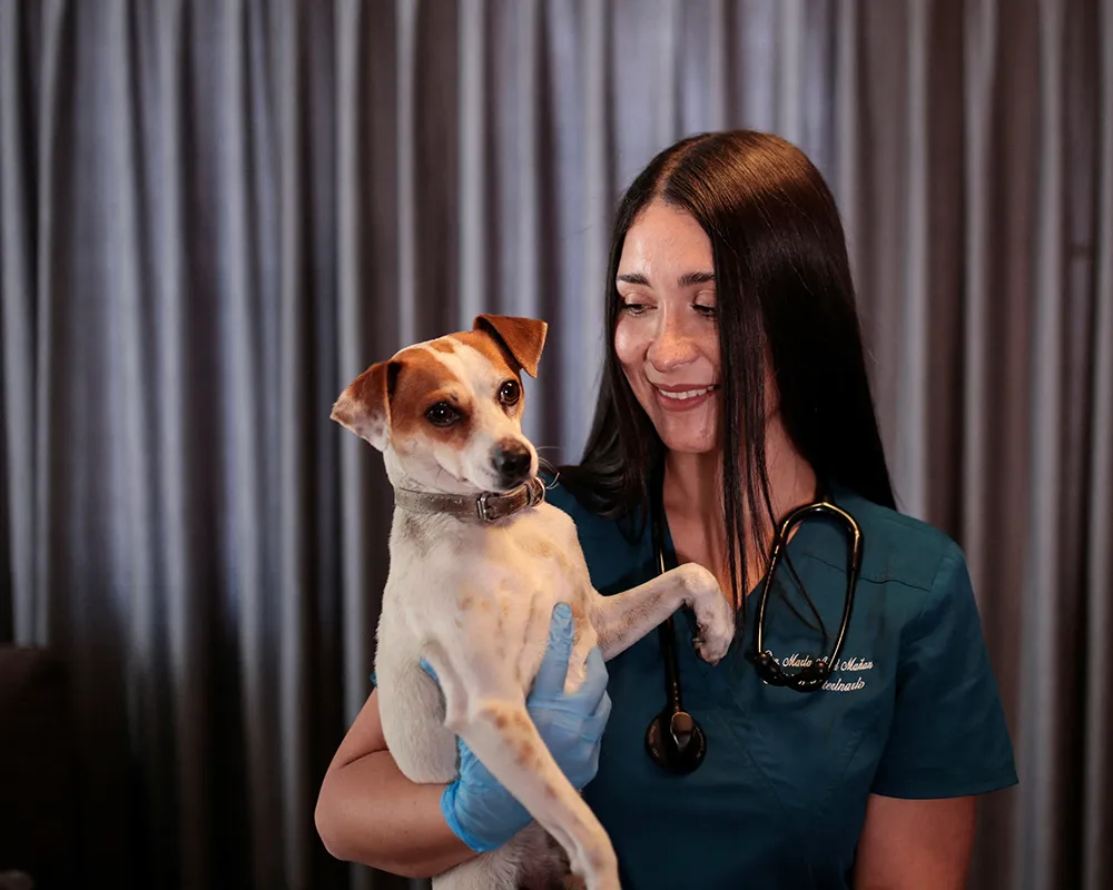 بیماری سگ انسان مشترک