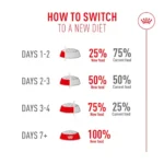 تغییر فاسی اگزیجنت رویال