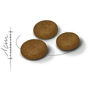 دانه بندی فاسی اگزیجنت رویال