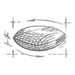 دانه بندی گاسترو سگ مدریت