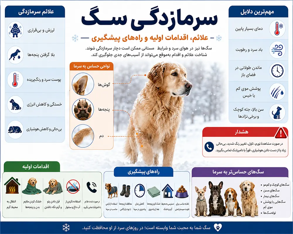 سرمازدگی سگ