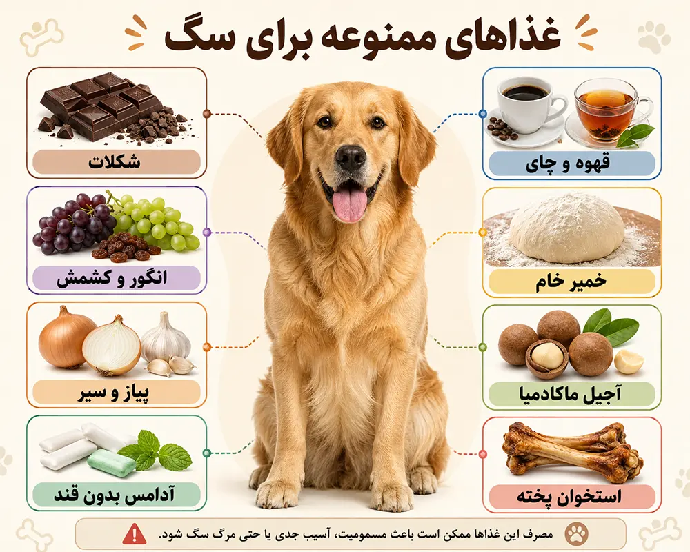 غذای ممنوعه سگ
