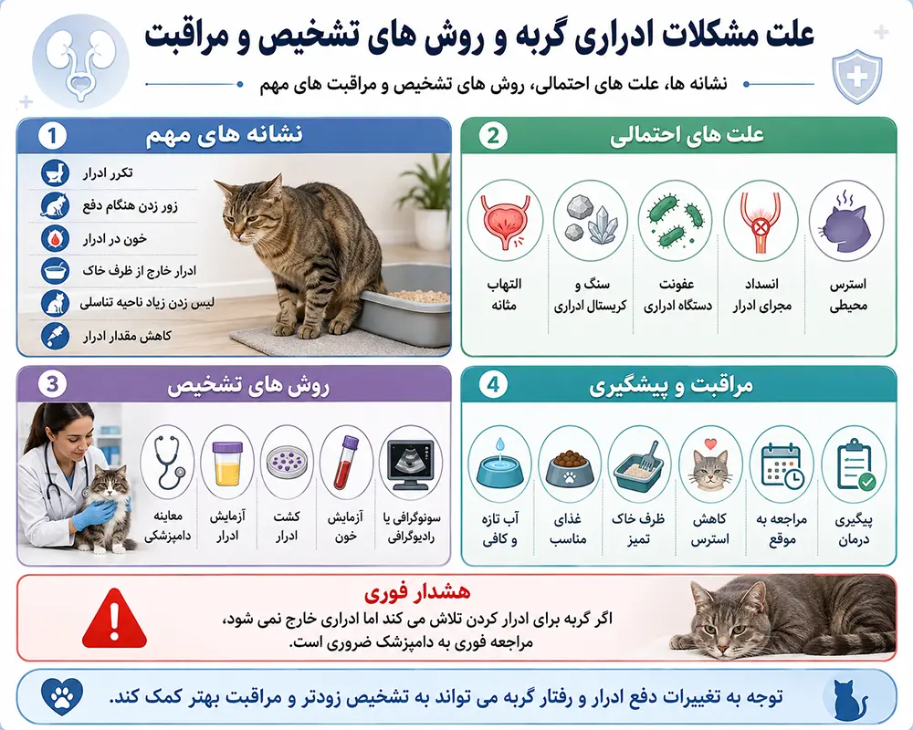 مشکلات ادراری گربه