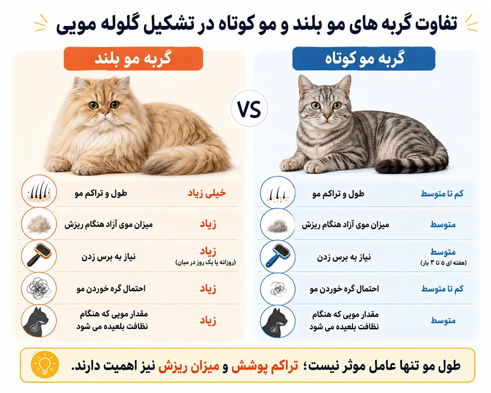 گلوله مویی گربه
